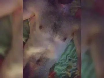 Bongacams Live Porn of Incognitosexy