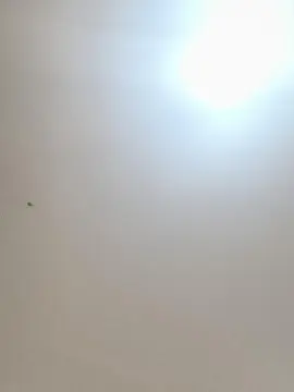 Cam4 Live Porn of Daddyslut4u