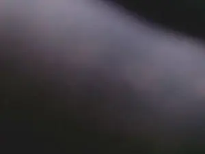 Cam4 Best live sex cam show of werg05