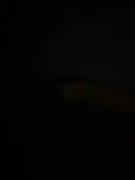 Cam4 Live Sex Cam of Pedroherique199
