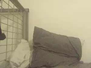 Cam4 Live Porn of GutsXbsk