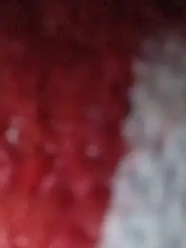 Cam4 Nude Webcam of Cum_Daddy39
