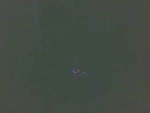 Cam4 Live Sex of boost2469
