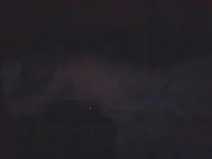 Cam4 Sex Cam of SvenTwinkboy