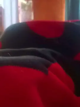 Cam4 Live Sex of dolcebaby99