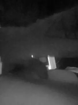 Cam4 Adult Webcam of hugoporn3xx