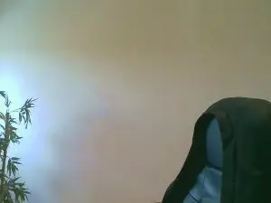 Cam4 Best Webcam of MA2022