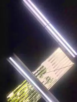 Cam4 Free Live Porn of jovendotado420