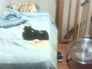 Cam4 Free Porn Cam of bulldotatosexy