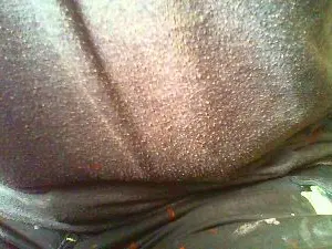 Cam4 Adult Webcams of Kuno66