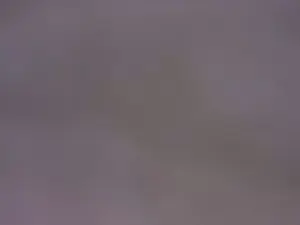 Cam4 Sex Chat of singolare1