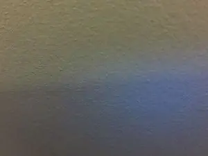 Cam4 Free Live Porn of reivaxf