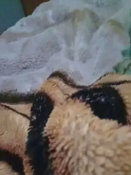 Cam4 Live Sex of Parejareal86