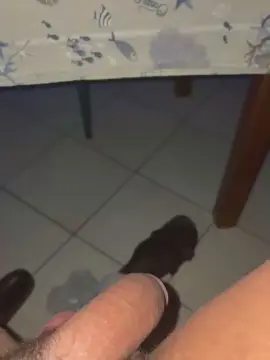 Cam4 Free Porn Cam of Dauizcum
