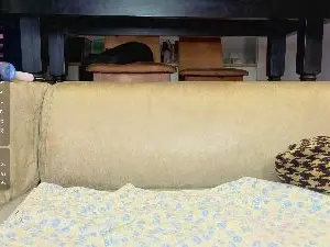 Cam4 Adult Webcam of NormaKinnon