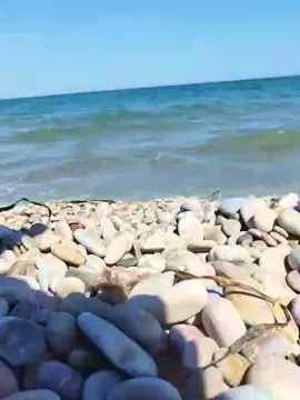 Cam4 Best Webcam of delfin1111