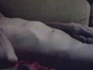 Cam4 Free Live Porn of clipper79