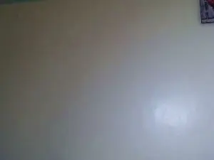 Cam4 Live Porn of Ebony_slut69_