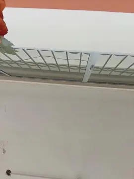 Cam4 Watch Live Sex Cams of Maximo1_1