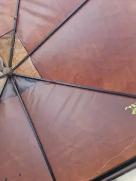 Cam4 Live Sex Cam of cho54_fun