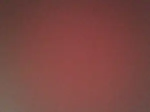 Cam4 Free Porn Cam of nipnipnip3