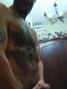 Cam4 Adult Video Chat of Misterhaifa20
