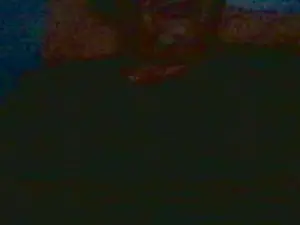 Cam4 Live Sex Cam of Morenochiler