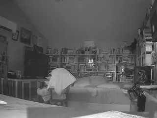 Camsoda Adult Video Chat of voyeurcam-bridgetleewalters-02