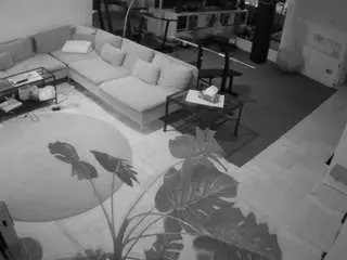 Camsoda Adult Webcam of voyeurcam-julmodels-living-2