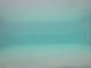 Camsoda Sex Cam of voyeurcam-casa-salsa-pool-1