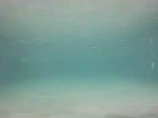 Camsoda Adult Webcam of voyeurcam-casa-salsa-pool-1