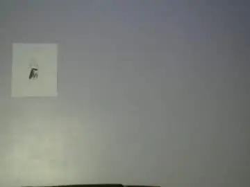 Chaturbate Live Sex of bigxcountry_39