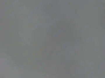Chaturbate Sex Cam of steviehello