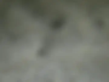 Chaturbate Sex Chat of ezzcunha