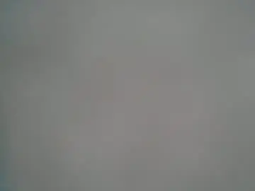 Chaturbate Adult Webcam of annypat