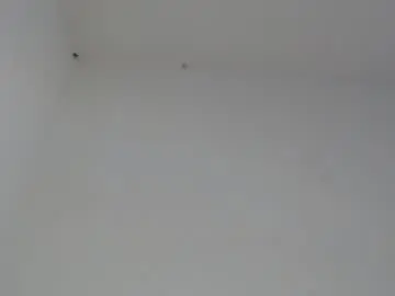 Chaturbate Live Sex of drako_monstercock