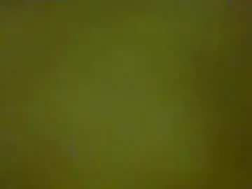 Chaturbate Live Sex of justbuff4