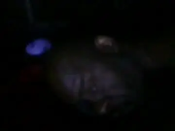 Chaturbate Nude Webcam of blackteddybear