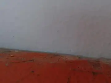 Chaturbate Watch Live Sex Cams of alexamdergal