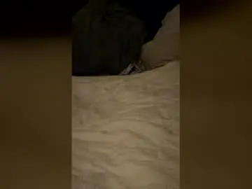 Chaturbate Live Sex of sjben