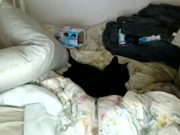 Chaturbate Best live sex cam show of casinocam