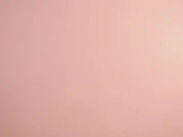 Chaturbate Private Sex Chat of sunny_flower_
