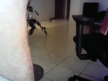 Chaturbate Sex Chat of islandforfun