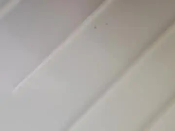 Chaturbate Best Webcam of zaingadol99