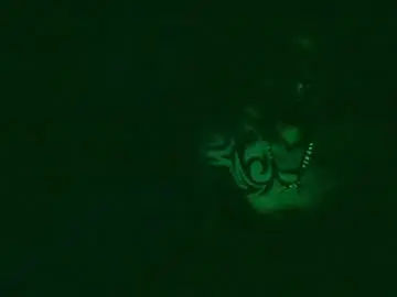 Chaturbate Nude Webcam of toxicidad_sex