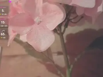 Chaturbate Live Porn of vickyvalencia2