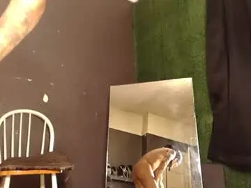 Chaturbate Live Sex Cam of bigpussypump