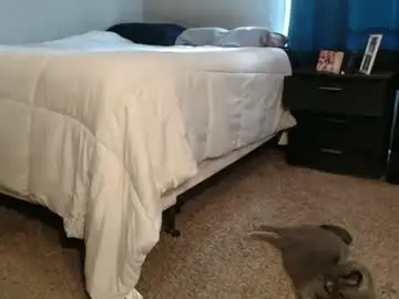 Chaturbate Adult Webcam of dwhitey4u