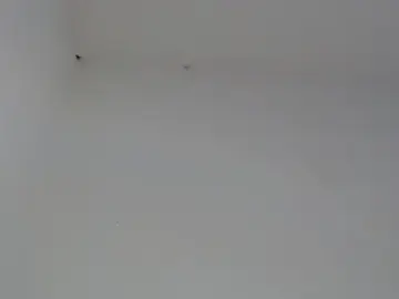 Stripchat Live Sex Cam of drako_monster