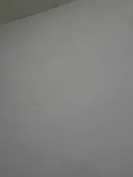 Stripchat Adult Webcam of 2BigBlacxxx
